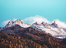 开云官网-冬奥会｜老将荣光：人们为何总是重复攀爬同一座高山?